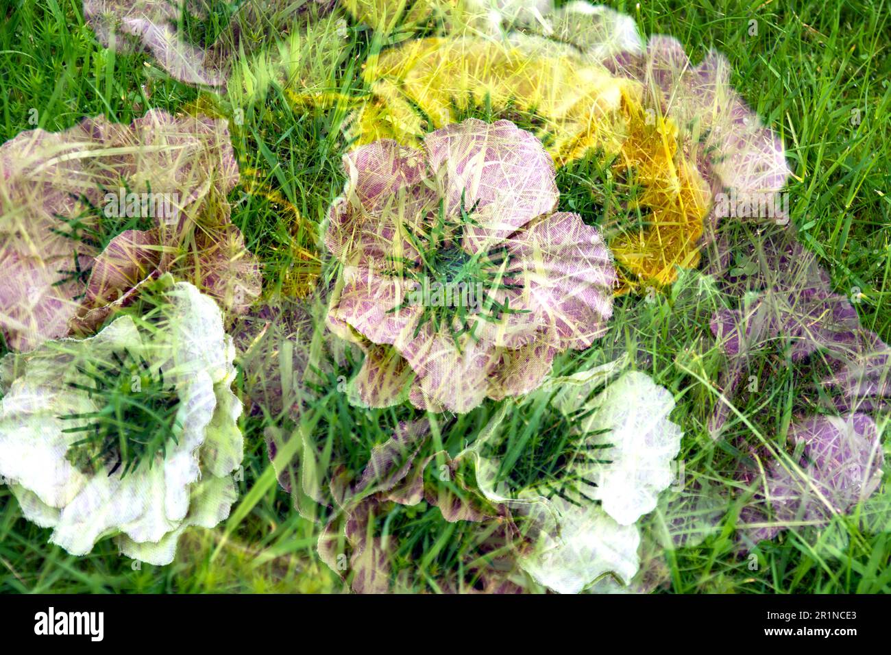 Künstliche Blumen und Gras--Doppelbelichtung in der Kamera. Stockfoto