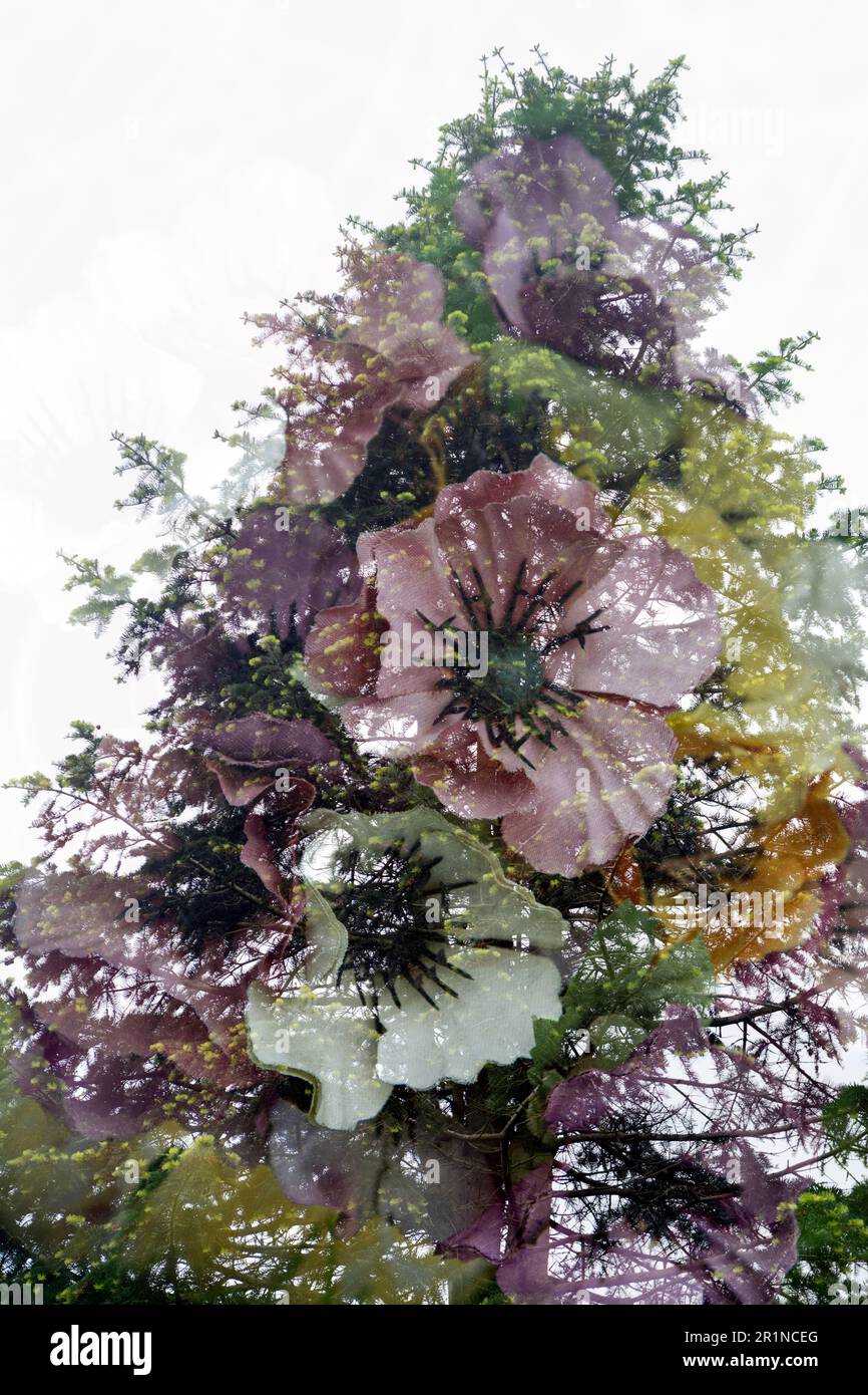 Künstliche Blumen und Tannenbaum - Doppelbelichtung in der Kamera. Stockfoto