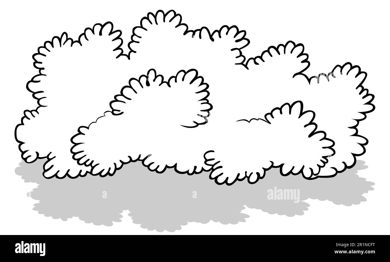Broad leaves Stock-Vektorgrafiken kaufen - Alamy