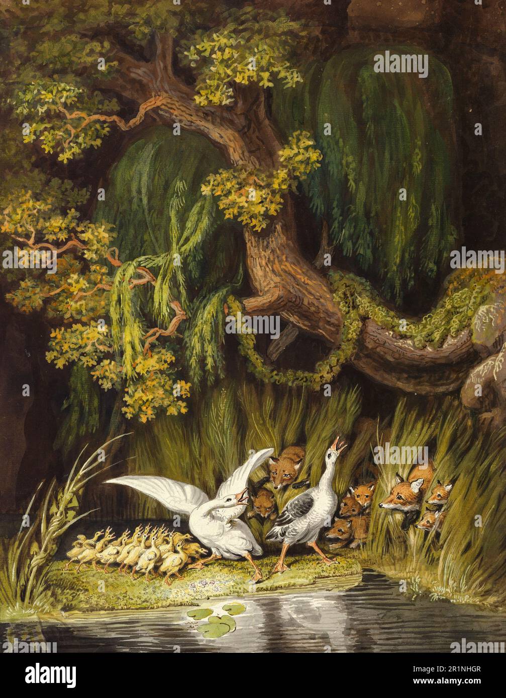 Eine Gans und ein Gänsehaut mit ihren Gänseblümchen, die in Alarmbereitschaft plappern, als zwei Füchse aus den Büschen mit ihrem jungen c. 1810, Gemälde von Johann Heinrich Wilhelm Tischbein, historische, digital wiederhergestellte Reproduktion eines Originals aus dem 19. Jahrhundert, auftauchen. / Eine Gans und ein Ganter mit ihren Gänseküken, die alarmiert schnattern, als zwei Füchse mit ihren Jungen aus dem Gebüsch auftauchen, um 1810, Gemälde von Johann Heinrich Wilhelm Tischbein, Historisch, digital restaurierte Reproduktion von einer Vorlage aus dem 19. Hundert Stockfoto