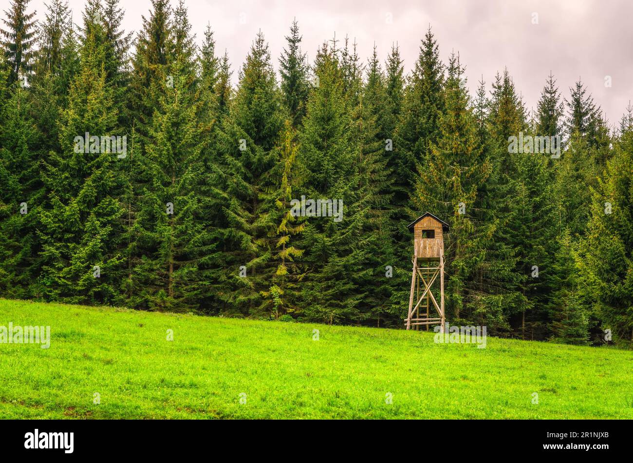 Jagdkanzel in grüner Landschaft. Holzjagdturm auf Grünland im Wald im Frühjahr, Beskiden Berge, Polen. Stockfoto