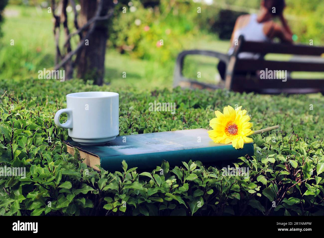 Eine Tasse Kaffee, ein Buch und eine Blume im Wald. Stockfoto