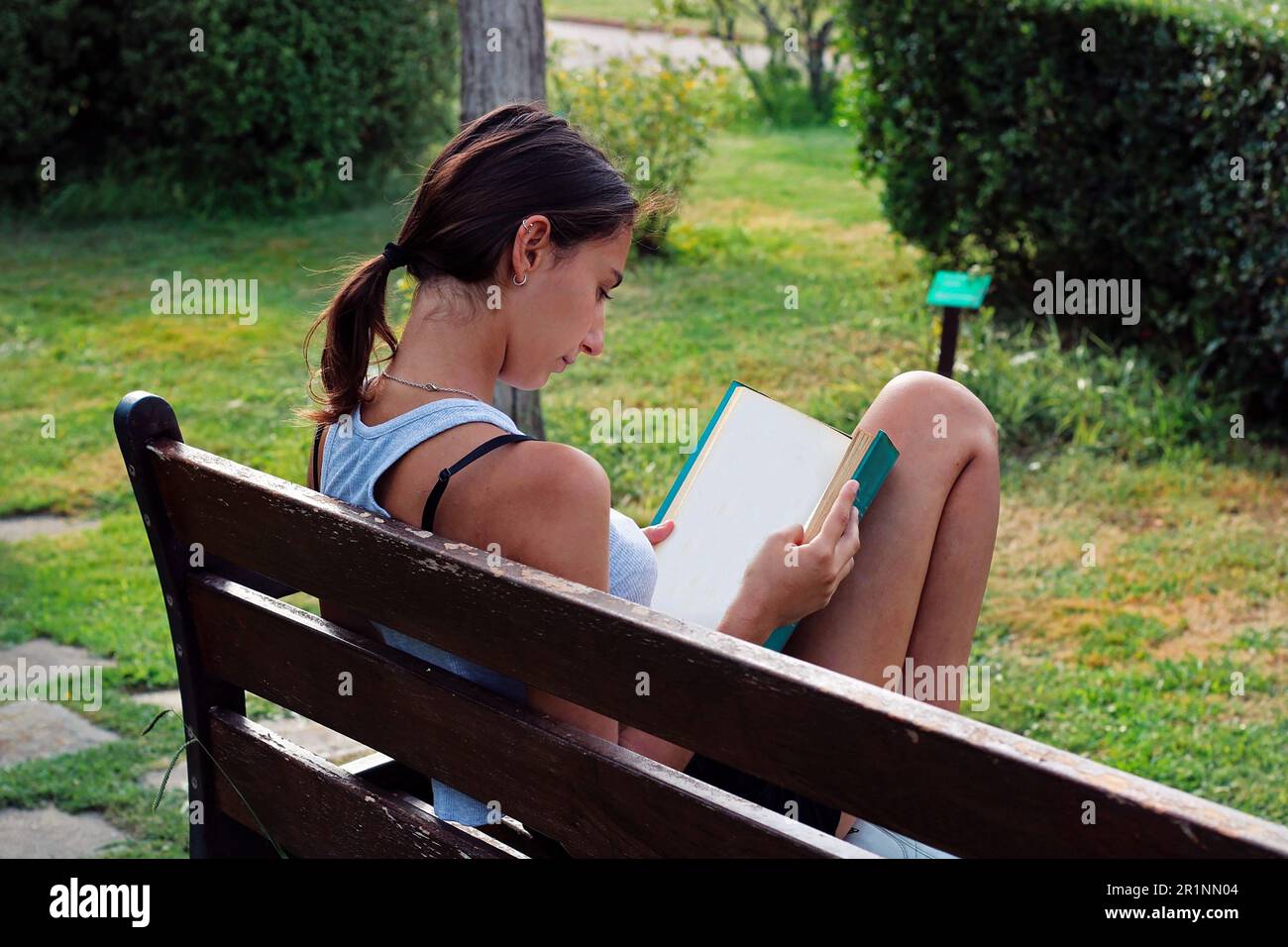 Eine Frau, die auf einer Bank sitzt und im Wald ein Buch liest. Stockfoto