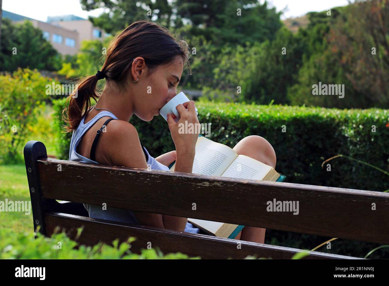 Eine Frau, die auf einer Bank sitzt, ein Buch im Wald liest und trinkt. Stockfoto