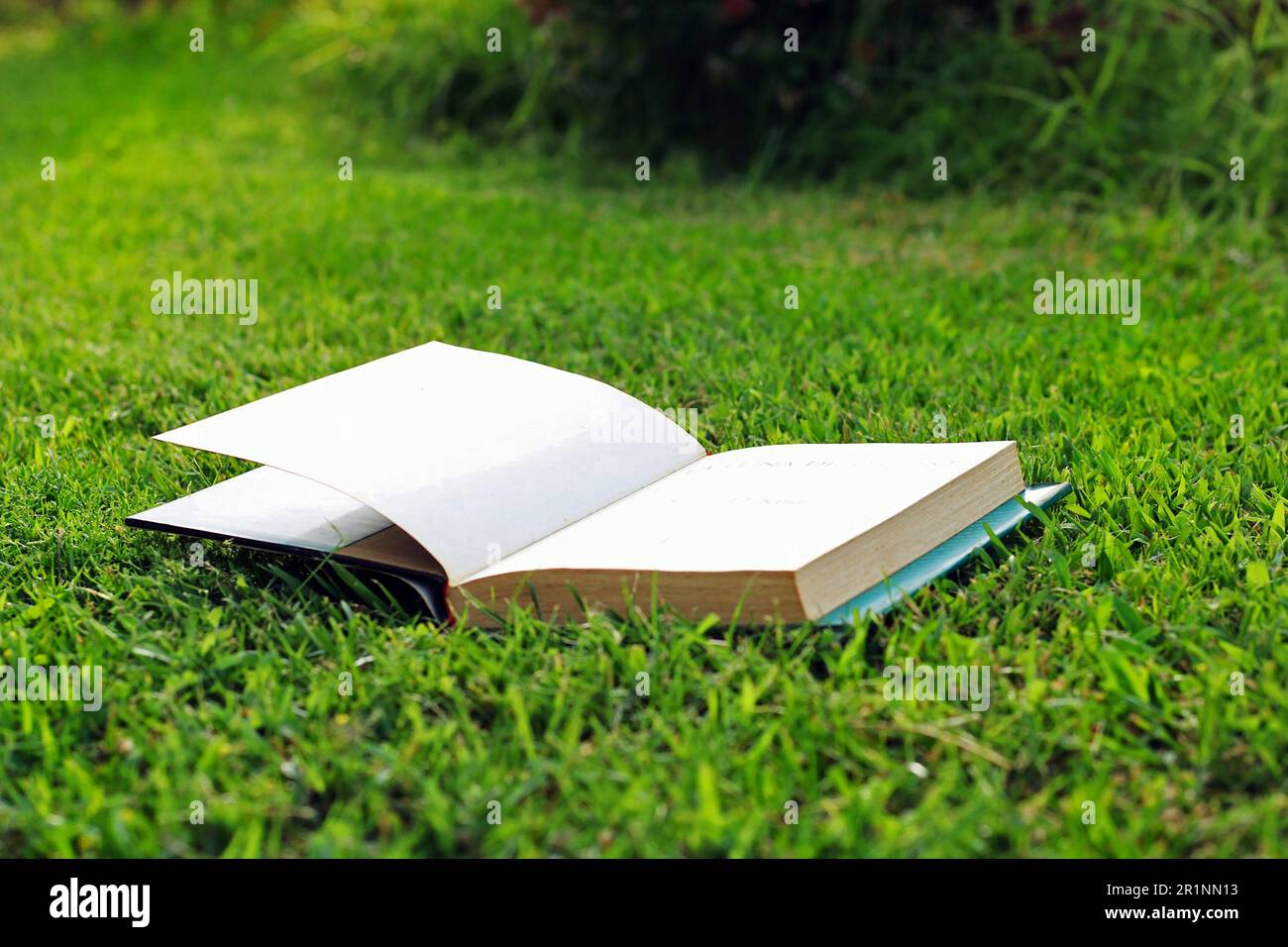 Offenes Buch im Wald. Stockfoto