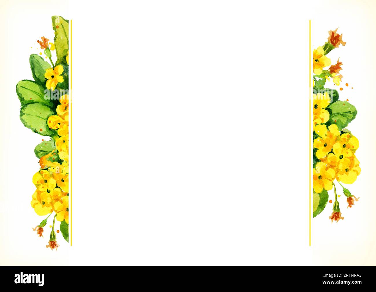 Aquarelle Rahmen mit gelben Primrosen Abendblumen, handgezeichnete botanische Illustration mit Frühlingsblumen isoliert auf weißem Hintergrund. Stockfoto