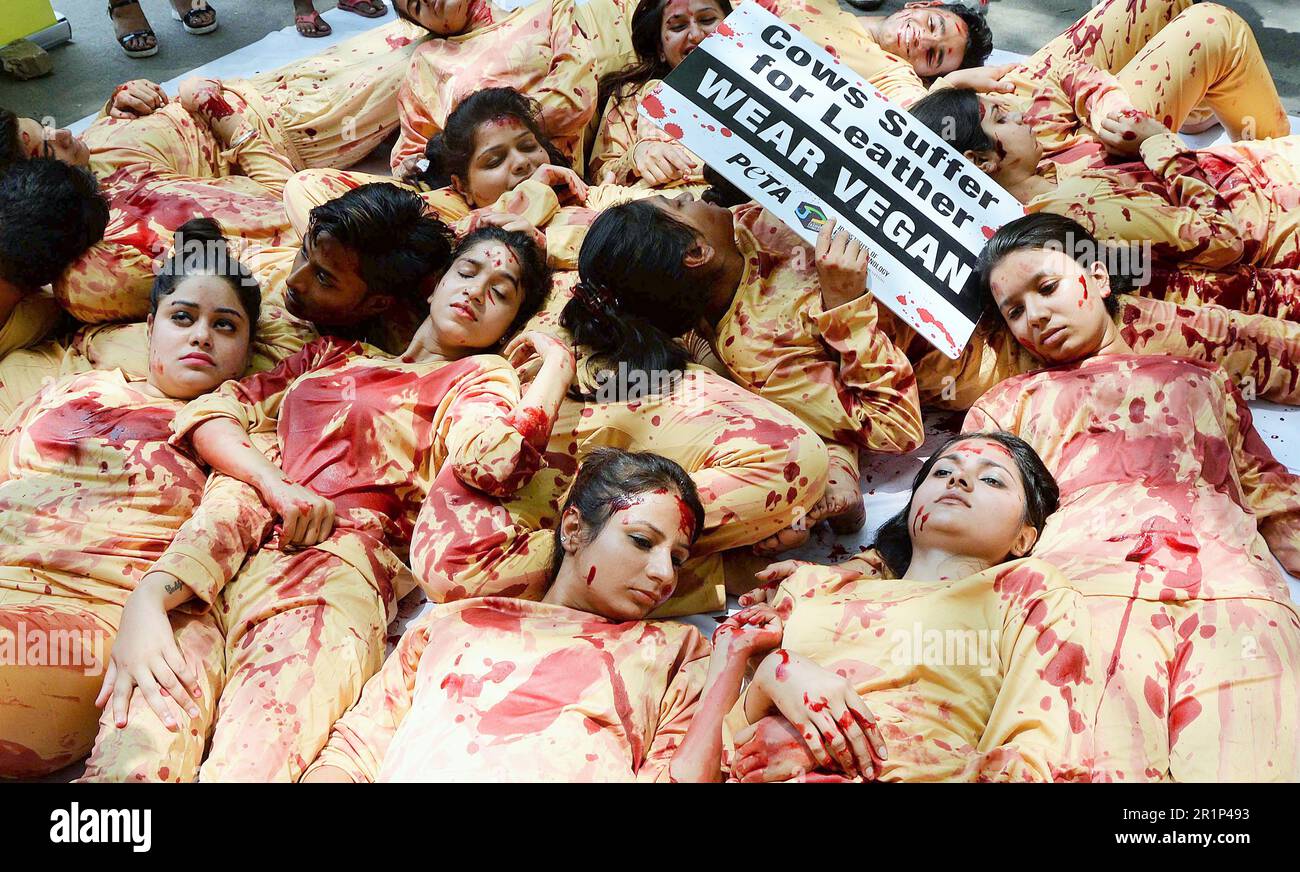 PETA-Protest, Menschen für die ethische Behandlung von Tieren, tragen vegan, Kühe leiden für Leder, Neu-Delhi, Indien, 25. Mai 2017 Stockfoto