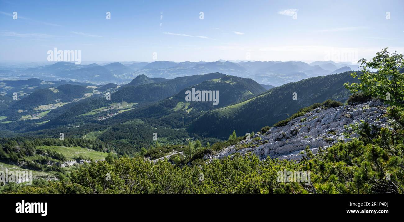 Voralpenlandschaft, Berglandschaft, Berchtesgaden Alpen, Berchtesgadener Land, Bayern, Deutschland Stockfoto