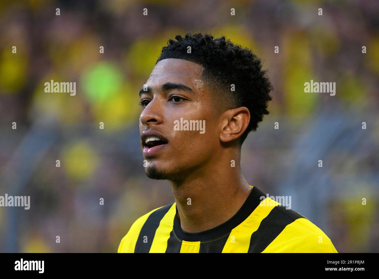 Signal Iduna Park Dortmund Deutschland 13,5.2023, Fußball: Bundesliga Saison 2022/23, Spieltag 32 , Borussia Dortmund (BVB) vs Borussia Moenchengladbach (BMG) - Jude Bellingham (BVB) Stockfoto