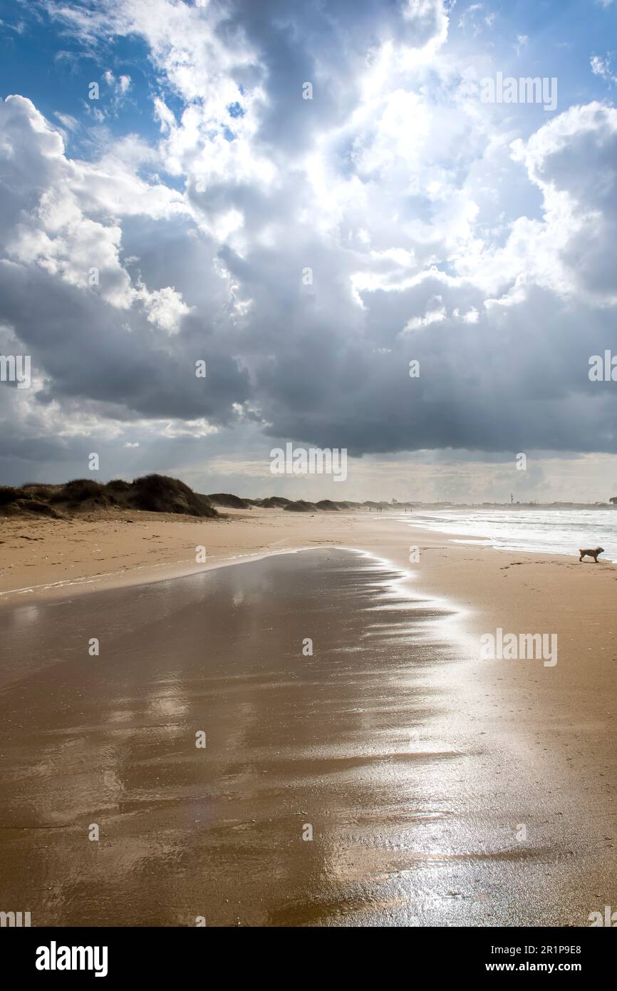 Verlassener Strand Israel windiger Tag am 2022. Dezember Stockfoto