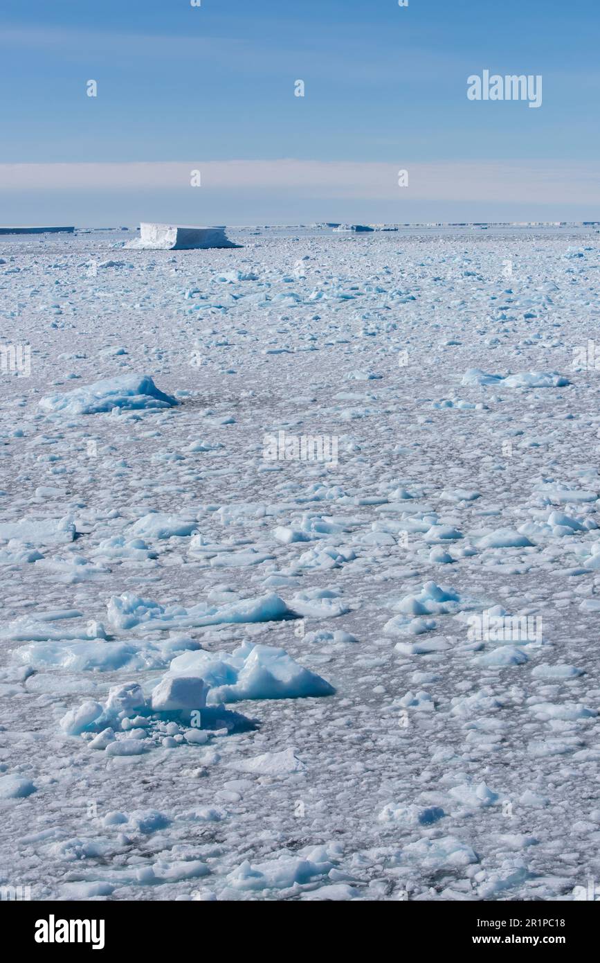 Antarktis, Bellingshausen-Meer, Carroll Inlet, in der Nähe von Sims Island. 73 Grad nach Süden. Eiscreme. Stockfoto