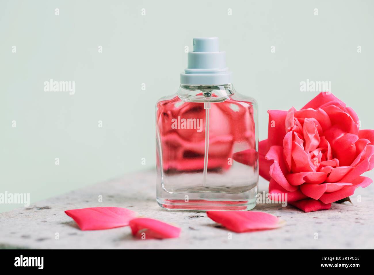 Glasparfümflasche und korallenrosa Rosenblumen auf einem Tisch aus Naturstein, Nahaufnahme. Stockfoto