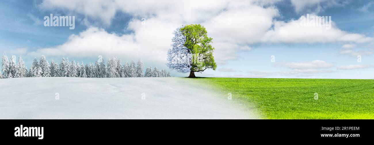 Saisonaler Wechsel von Winterlandschaft zu Sommerlandschaft Stockfoto