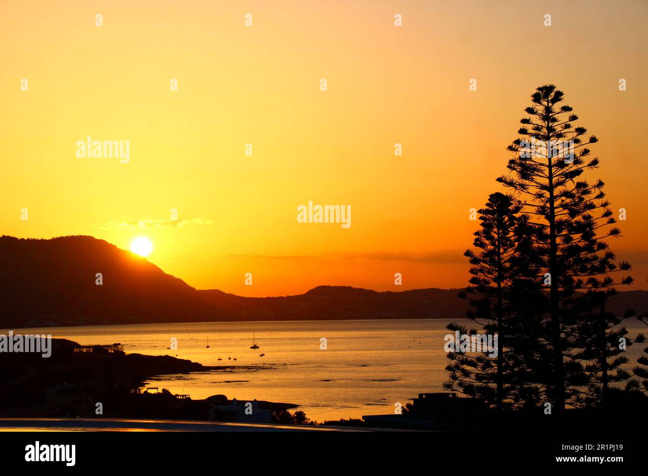 Blick auf den Sonnenaufgang, im Vordergrund Baum Strand, Ufer, Meer, Kiotari, Rhodos, Griechenland Stockfoto