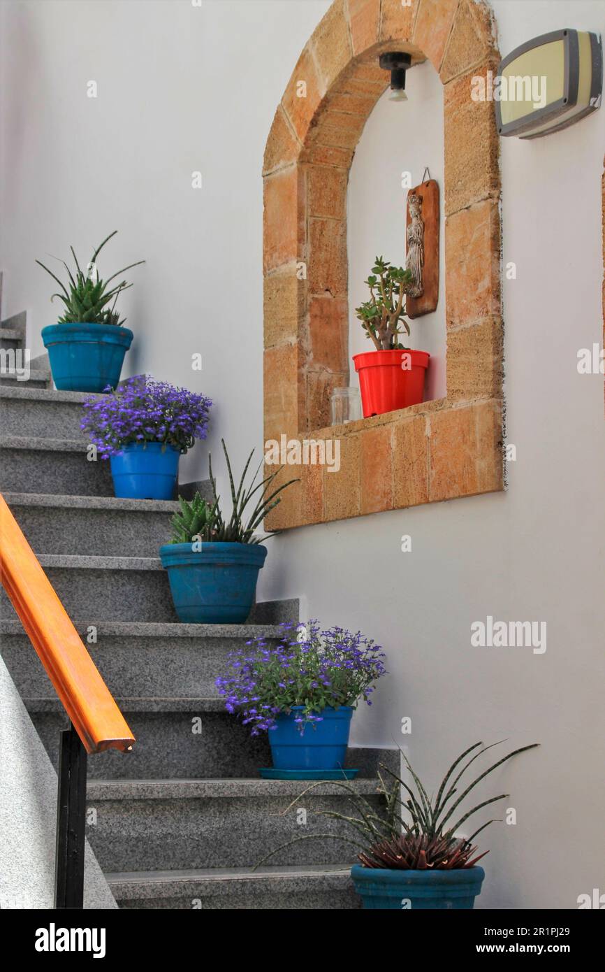 Hauseingang, Treppe, Aufstieg mit Blumentöpfen, Lindos, Rhodos, Griechenland, Europa Stockfoto