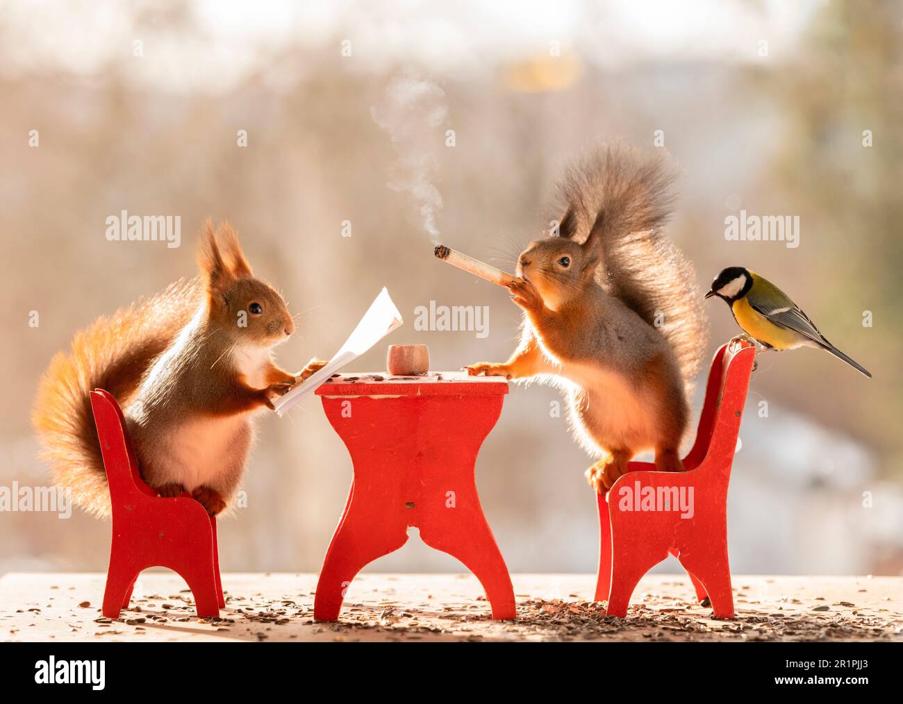 Das rote Eichhörnchen hält eine Tasse und eine Zigarette in der Hand Stockfoto