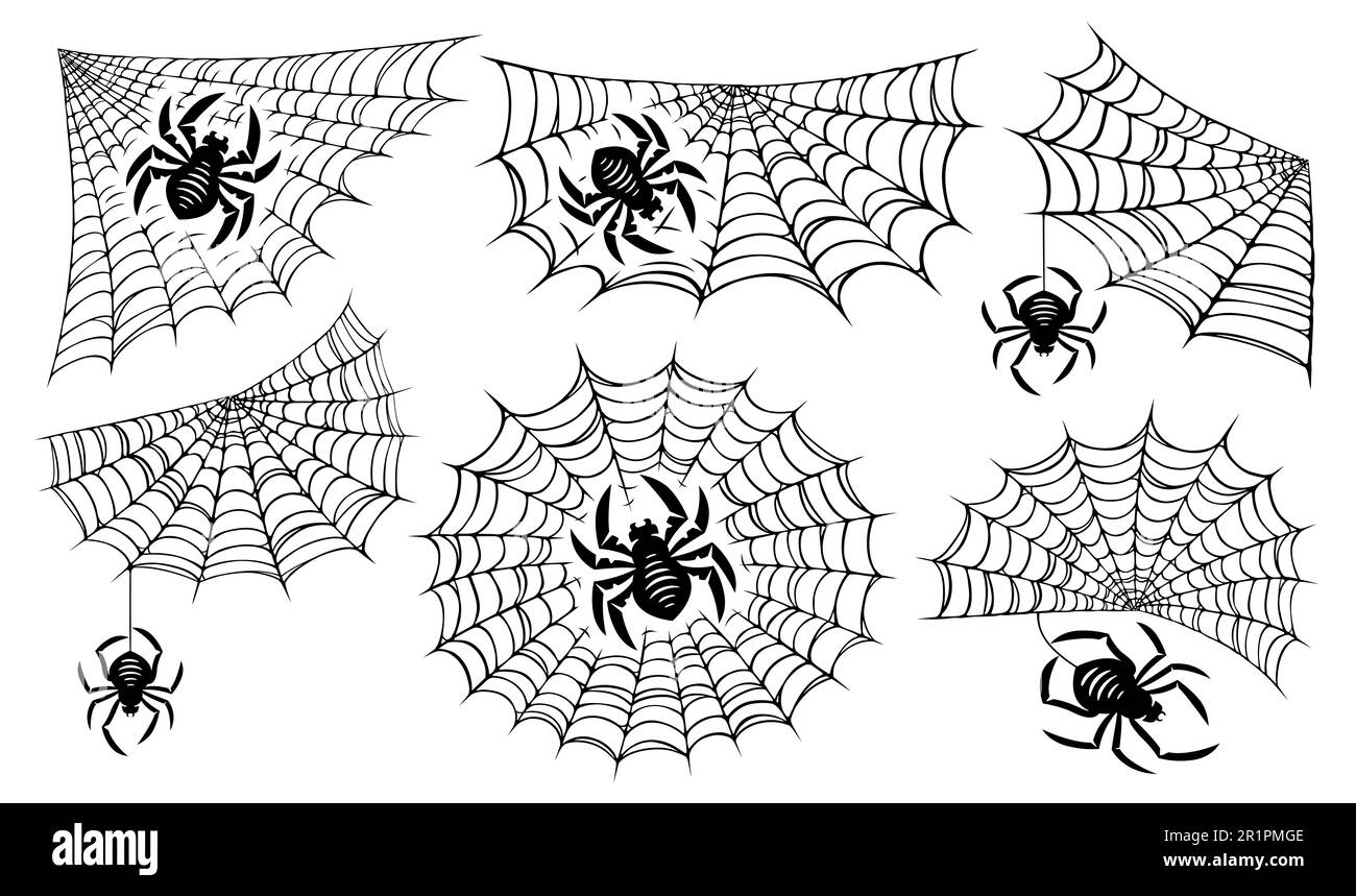 Spider und Netz. Konzept Halloween Dekoration Design. Darstellung der Prüfelemente Stockfoto