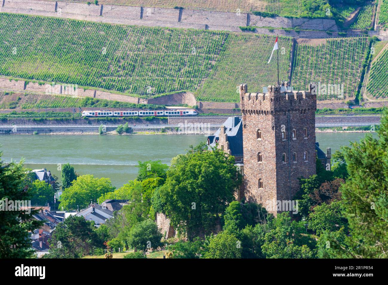 Bingen am Rhein, Rhein (Rhein), Burg Klopp, Regionalzug in Rheintal, Rheinland-Pfalz, Deutschland Stockfoto