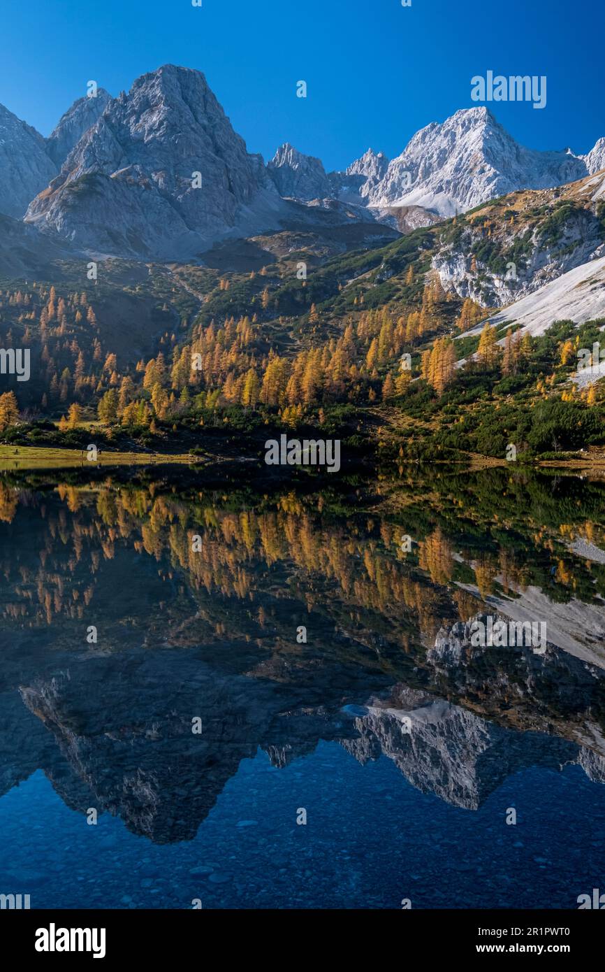 Seebensee, Mieminger, Ehrwald, Tirol, Österreich, Herbst Stockfoto