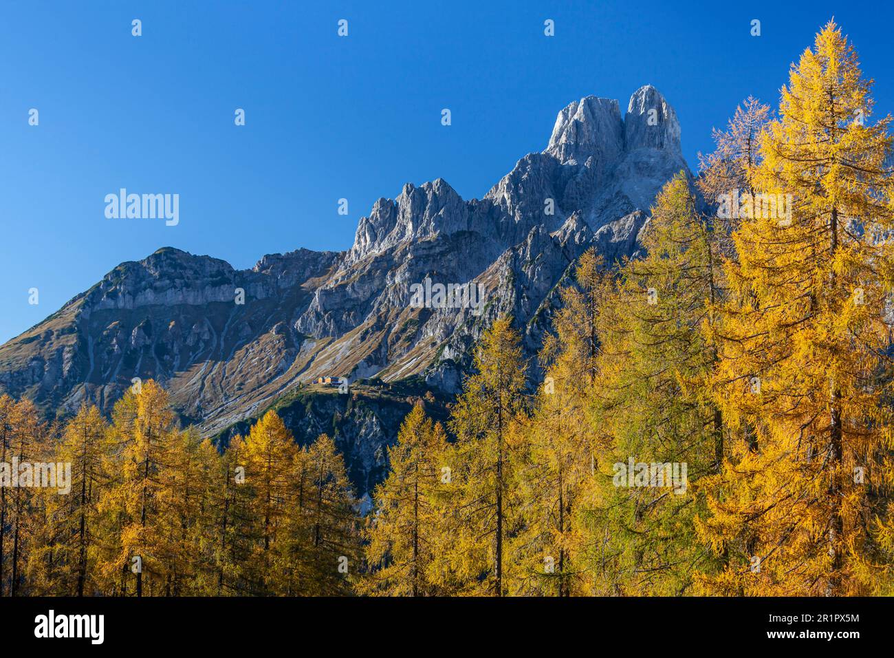 Hofpurgl Hütte, Larch Trees, Herbst, Dachstein Gebirge, Salzburg, Österreich Stockfoto