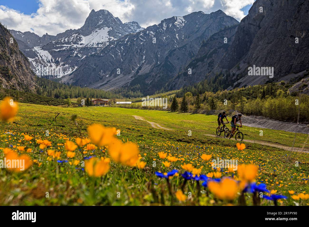 Mountainbiker in Gramaialm, Falzthurn Valley, Pertisau, Tirol, Karwendel Mountains, Österreich Stockfoto