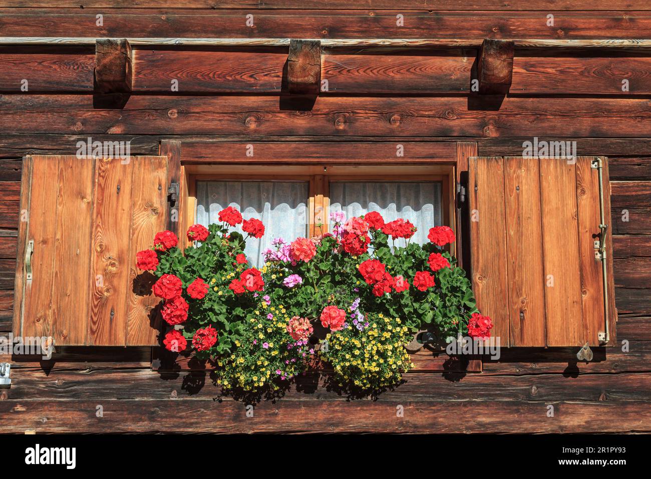 Engalm, Fenster im alten Holzhaus mit Blumen, Tirol, Österreich Stockfoto