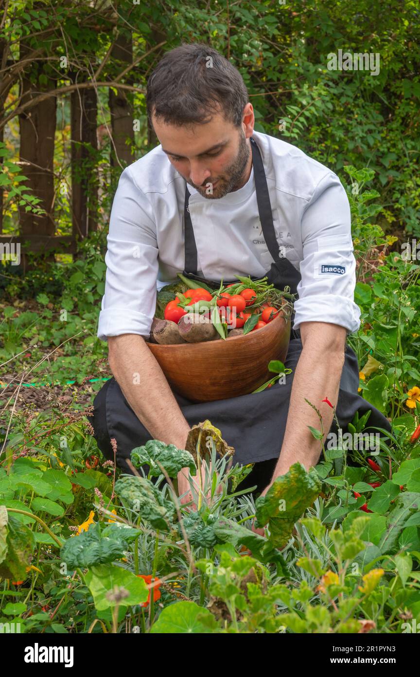 Italien, Trentino Südtirol, Südtirol, vegane Küche mit tierproduktfreien Zutaten, Vinschgau, Naturns, Vegan Hotel 'La VIMEA', Chefkoch Luca Sordi Stockfoto