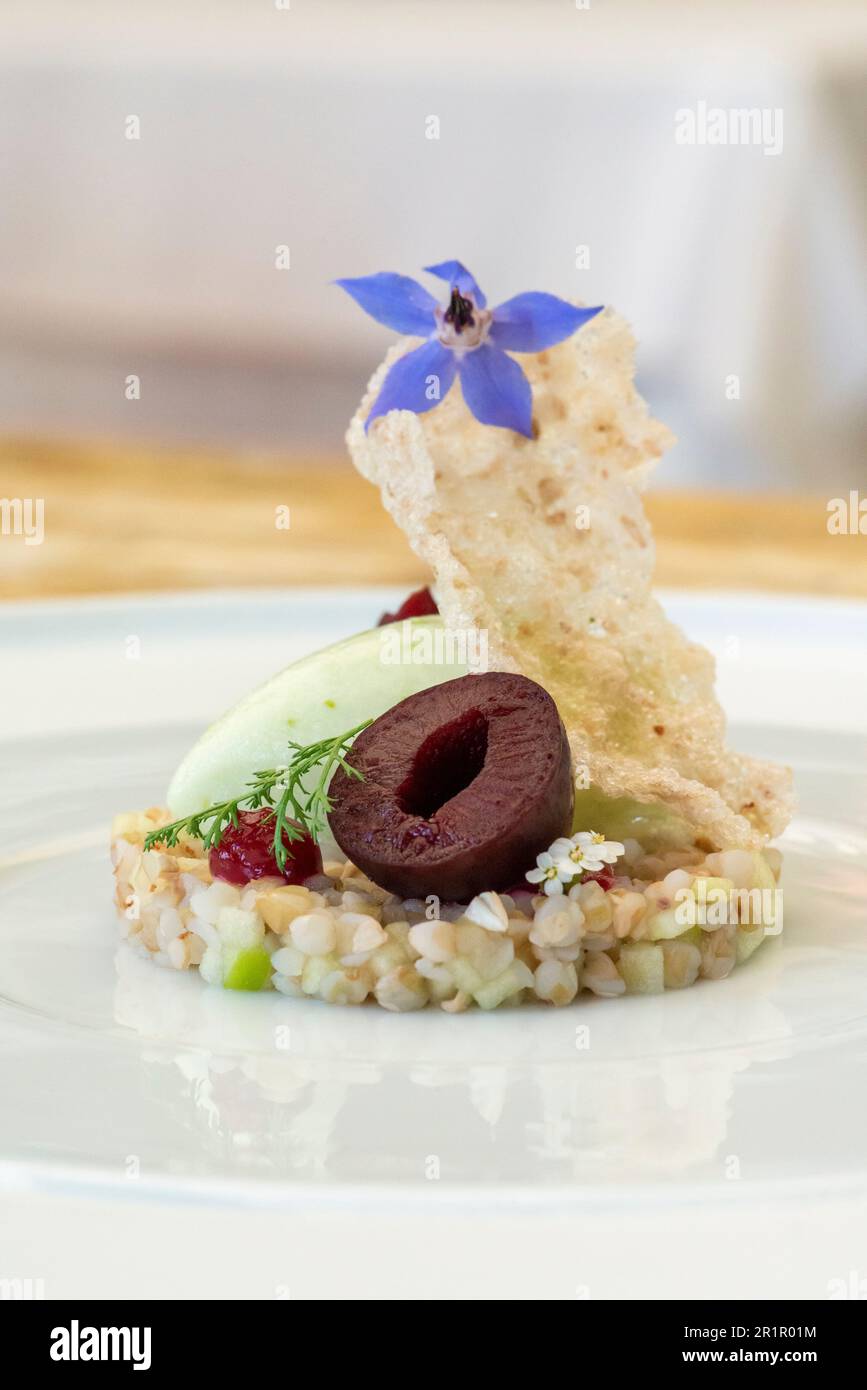 Italien, Trentino Südtirol, Südtirol, Merano, Castel Fragsburg, Restaurant Prezioso von Chef de Cuisine Egon Heiss, vegane Küche mit tierproduktfreien Zutaten, Buchweizensalat, Granny Smith Sorbet, Damonbraten, Stockfoto
