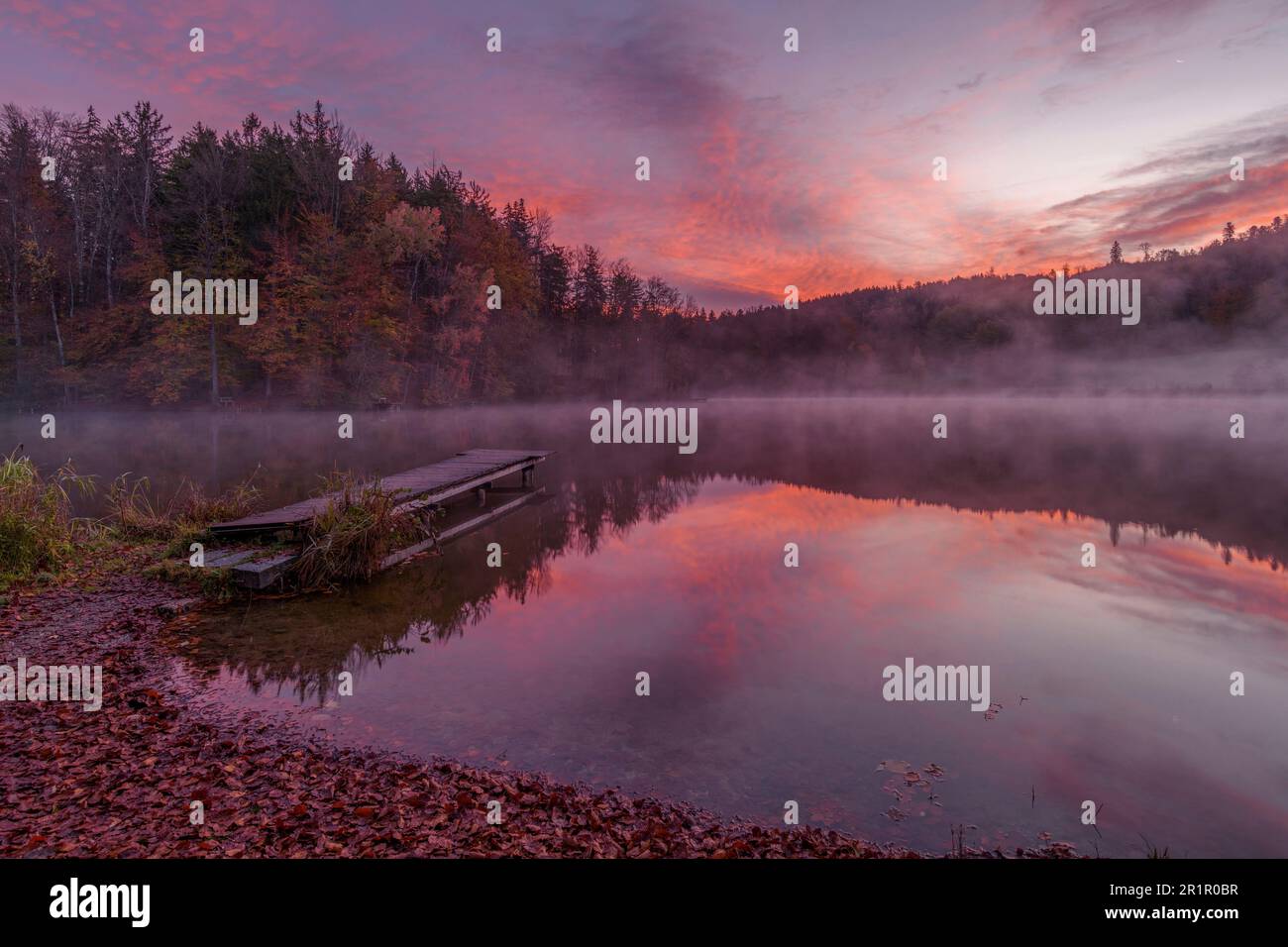 Kleiner Fischteich kurz vor Sonnenaufgang im Herbst Stockfoto