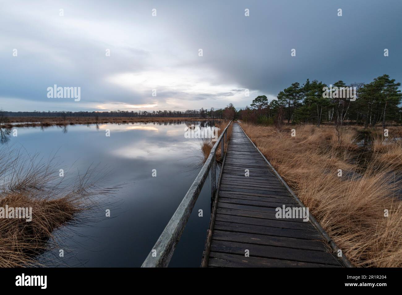 Das Pietzmoor in der Lüneburger Heide. Stockfoto