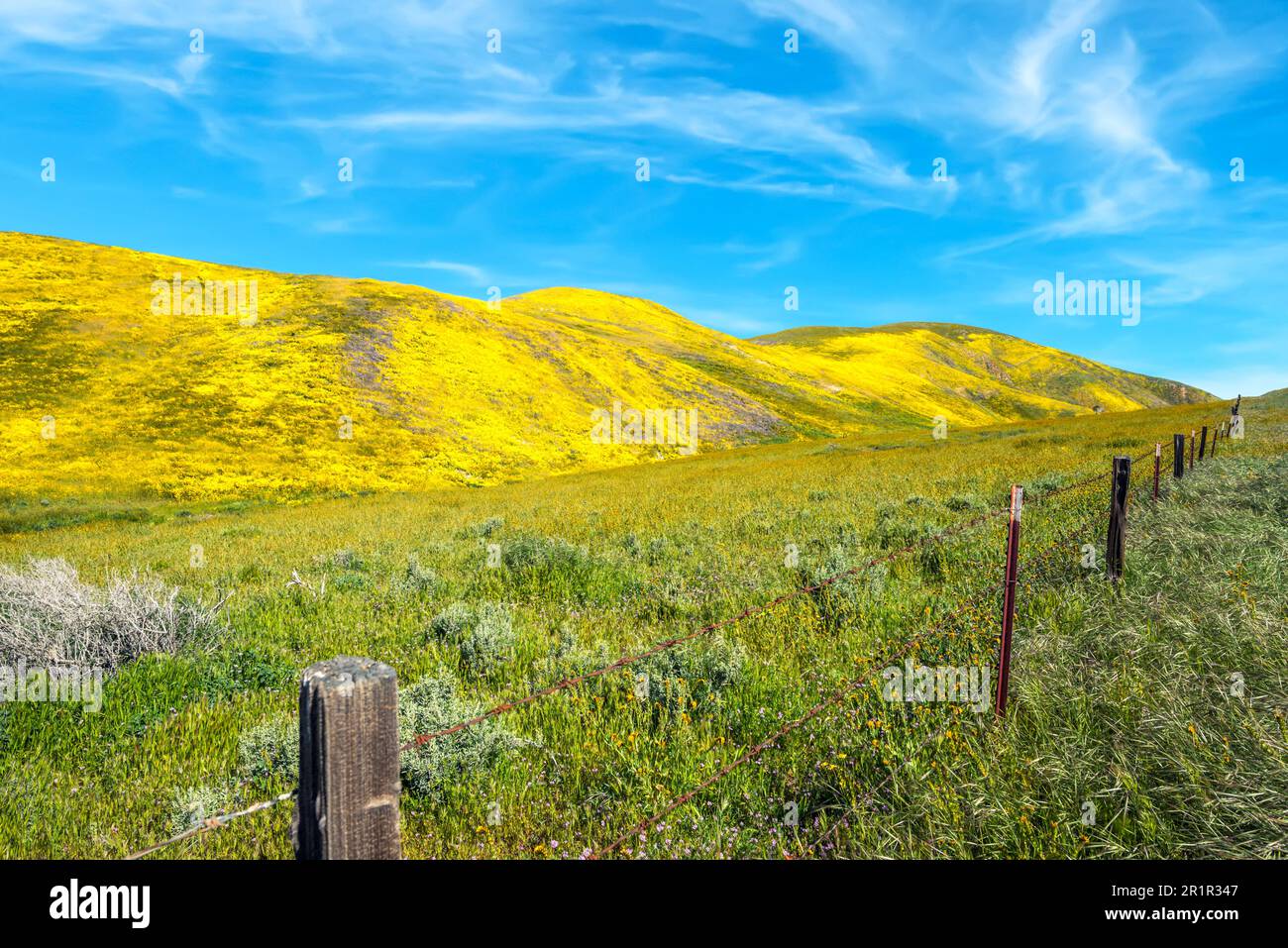 Blick auf die Temblor Range, die Teil der kalifornischen Küstenketten in den Bezirken San Luis Obispo und Kern ist. Im Frühling fotografiert. Stockfoto