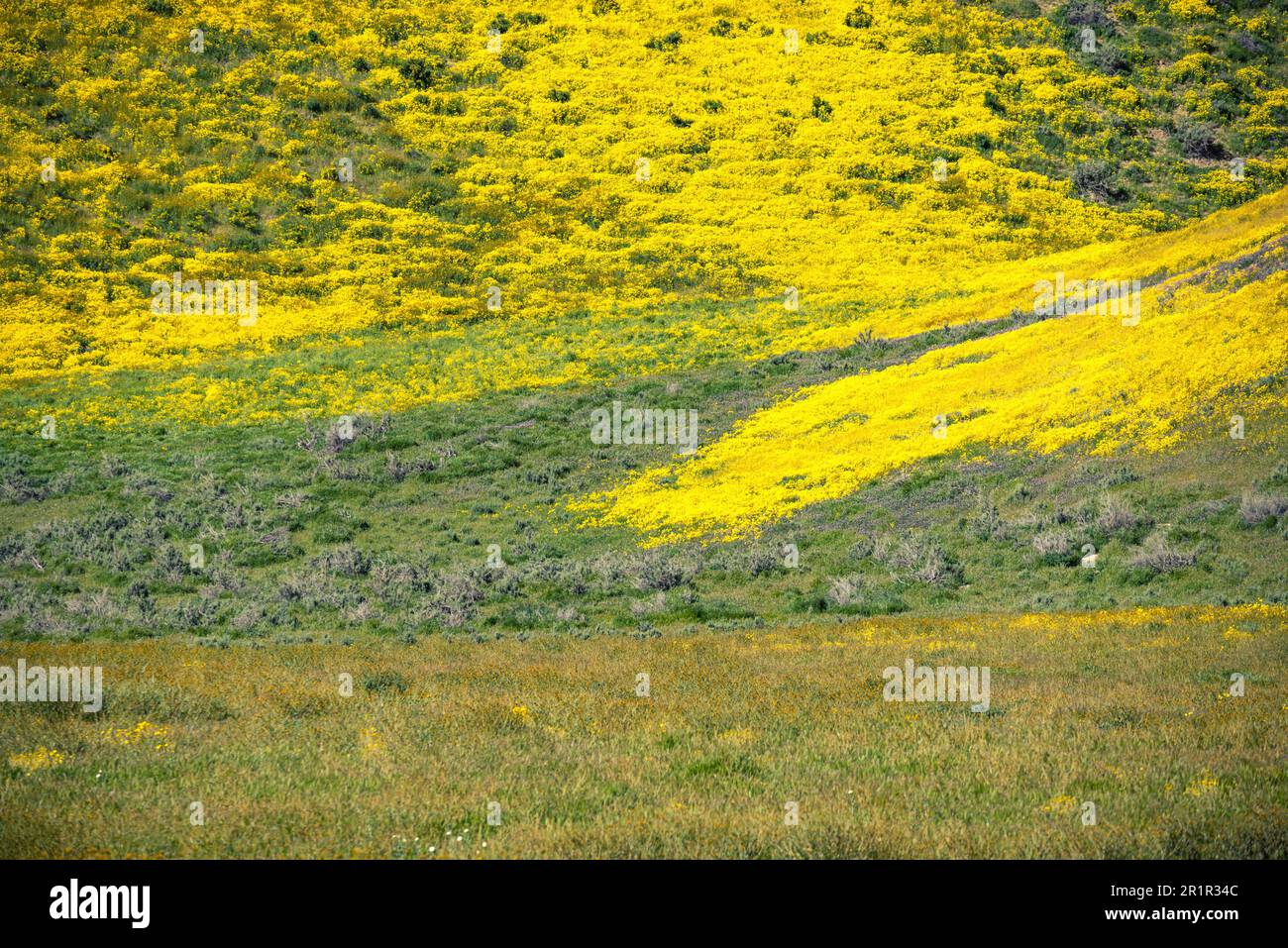 Blick auf die Temblor Range, die Teil der kalifornischen Küstenketten in den Bezirken San Luis Obispo und Kern ist. Im Frühling fotografiert. Stockfoto