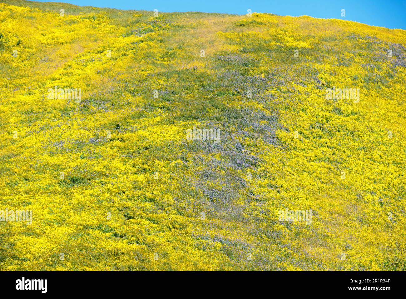 Blick auf die Temblor Range, die Teil der kalifornischen Küstenketten in den Bezirken San Luis Obispo und Kern ist. Im Frühling fotografiert. Stockfoto