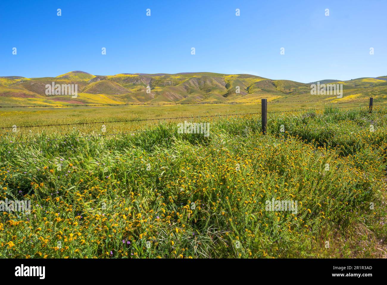 Blick auf die Temblor Range, die Teil der kalifornischen Küstenketten in den Bezirken San Luis Obispo und Kern ist. Im Frühling fotografiert. Stockfoto