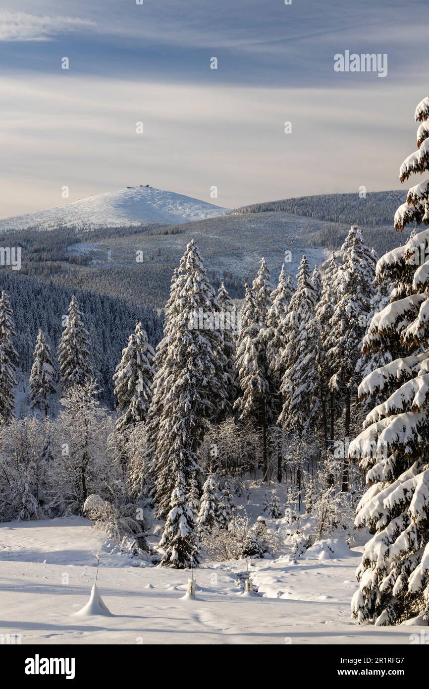 Winterlandschaft mit Snezka, Riesengebirge (Riesengebirge), Nordböhmen, Tschechien. Stockfoto