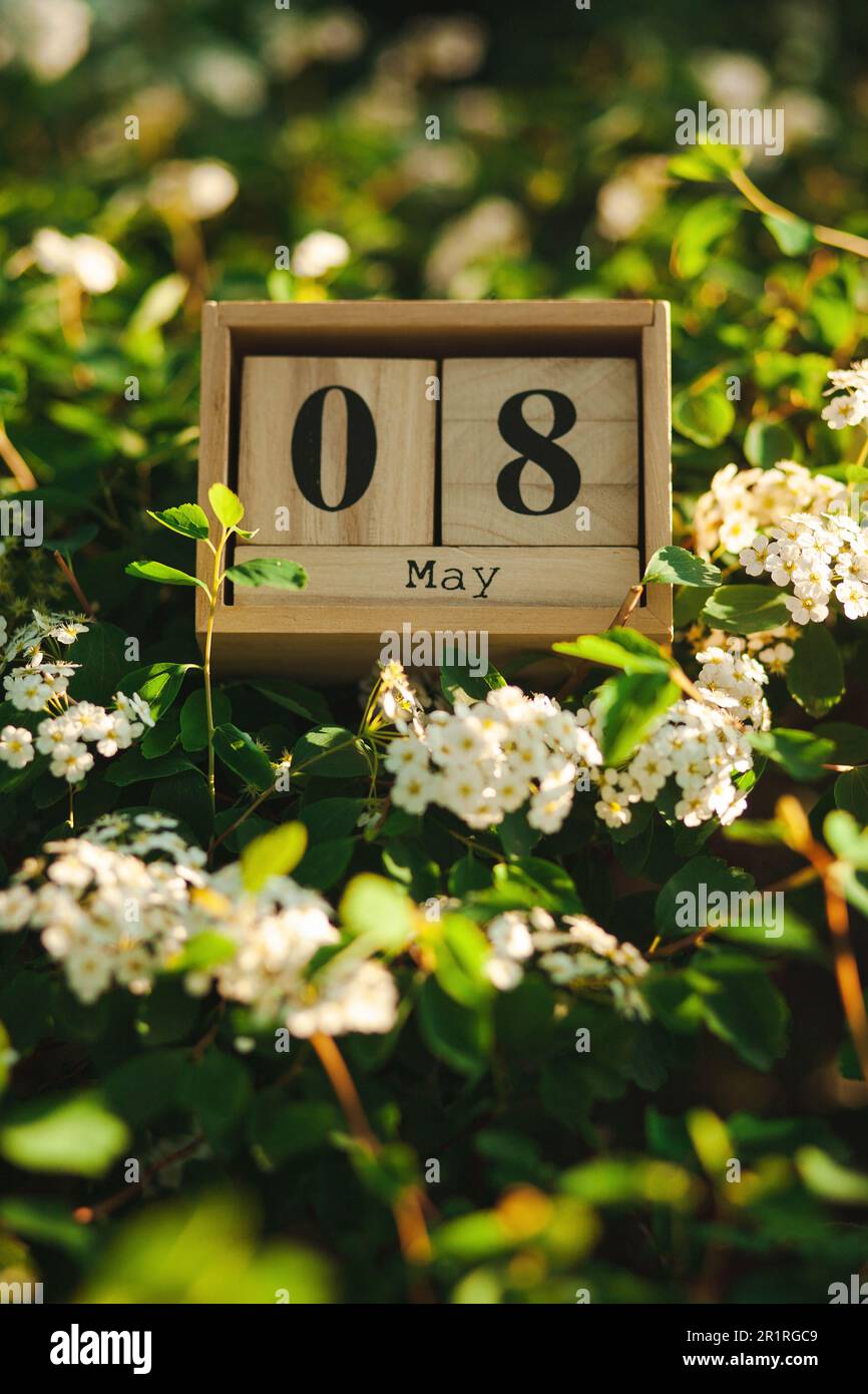 Holzblöcke mit dem Kalenderdatum vom 8. Mai inmitten von Blumen Stockfoto