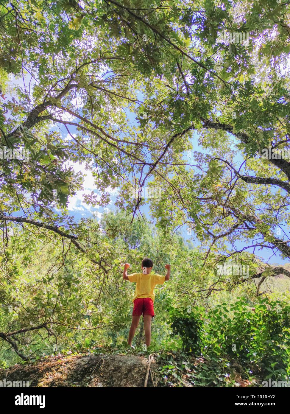 Triumphierender Junge auf einem Waldfelsen. Fördern Sie das Selbstbewusstsein der Kinder. Stockfoto
