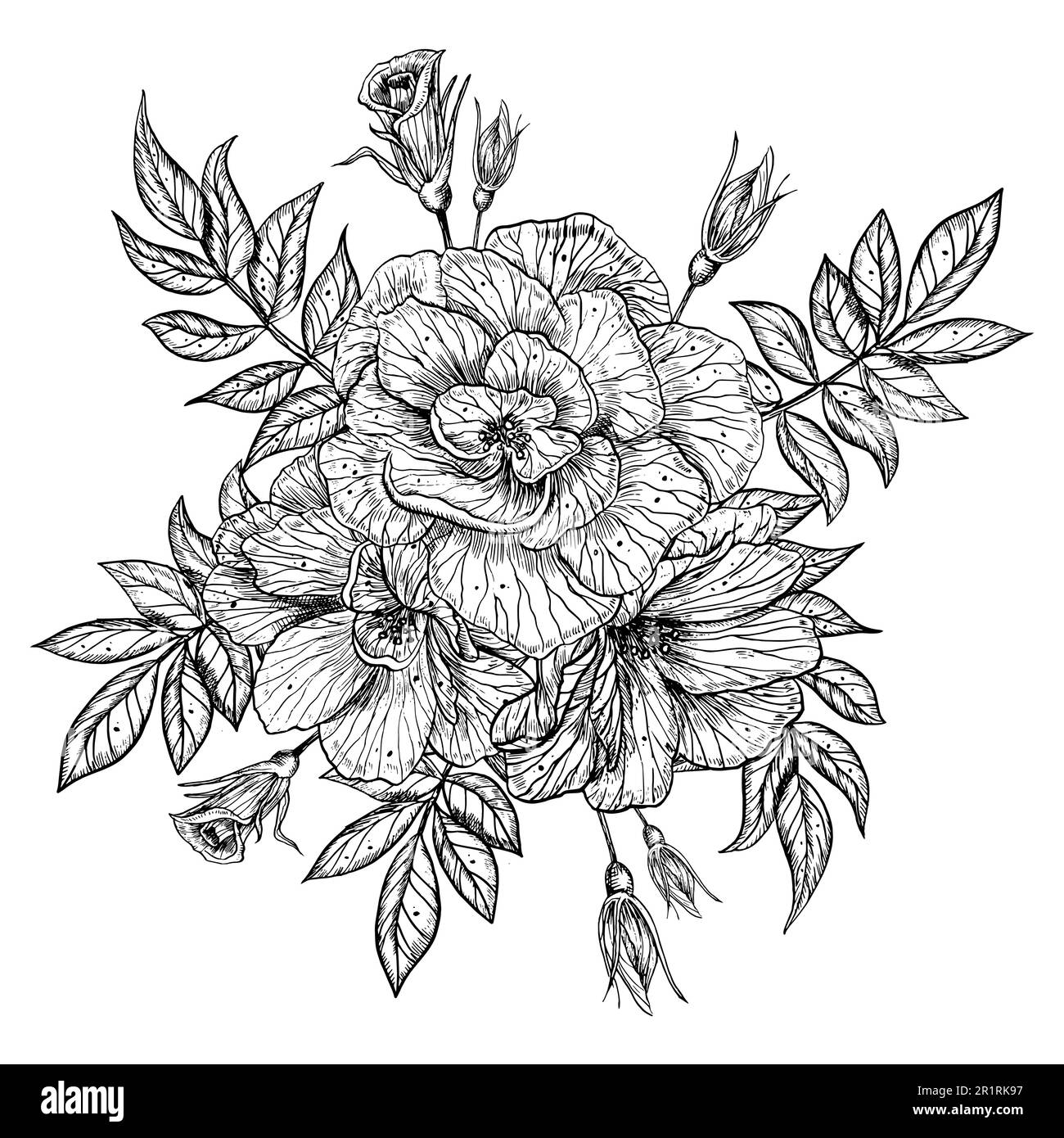 Strauß Rosenblumen. Handgezeichnete Vektordarstellung auf isoliertem Hintergrund in Umrissform. Grafische Blumenzeichnung für Grußkarten oder Hochzeitseinladungen. Gravur mit schwarzer Tinte Stock Vektor