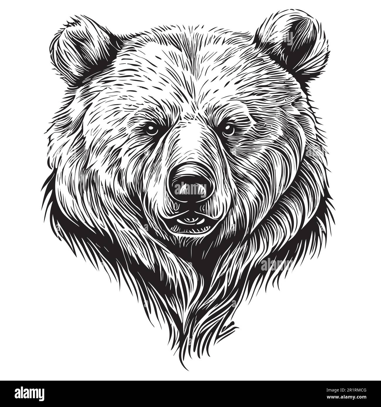 Bärengesicht-Skizze, handgezeichnet in Doodle-Style-Illustration Stock Vektor
