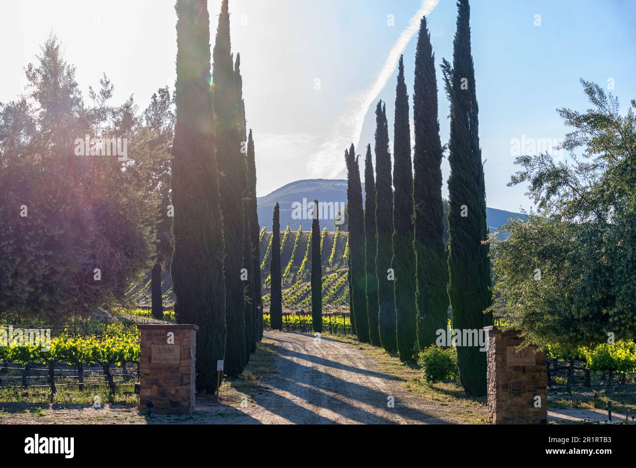 Weinanbaugebiet in Temecula, Kalifornien. Stockfoto