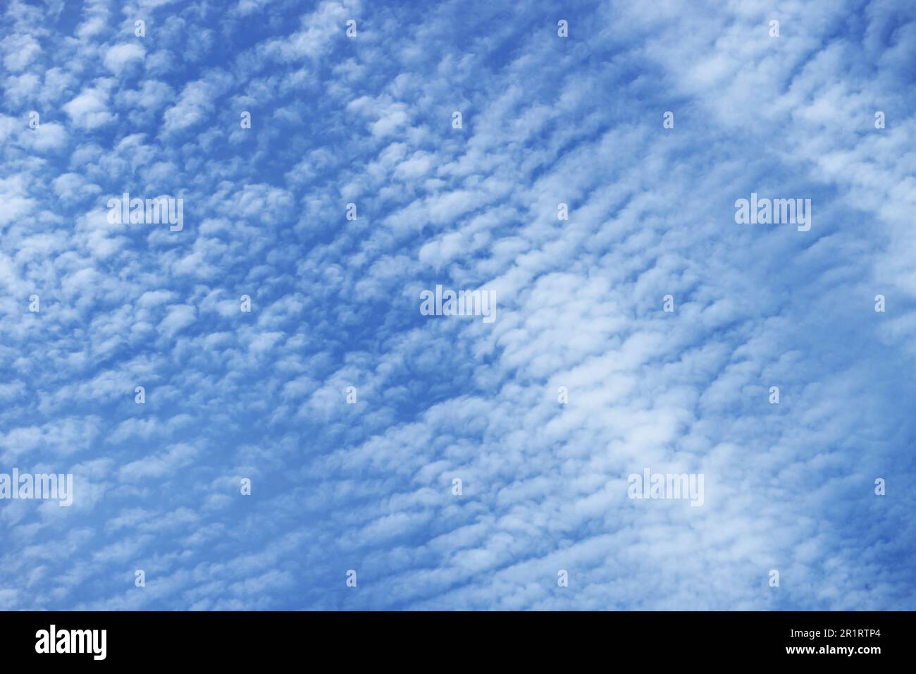Wunderschöne weiße Wolken, die auf dem leuchtenden blauen Himmel schweben Stockfoto