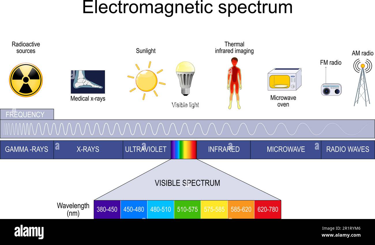 Elektromagnetisches Spektrum. Verschiedene Arten elektromagnetischer Strahlung, einschließlich Funkwellen, Mikrowellen, Infrarot, sichtbares Licht, Ultraviolett, Röntgenstrahlen Stock Vektor