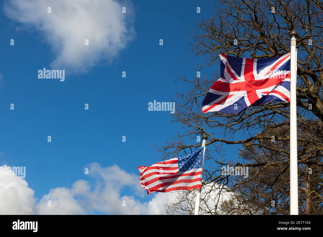 Zwei britische und US-Flaggen, die in der Nähe eines Baumes gegen den Himmel fliegen Stockfoto