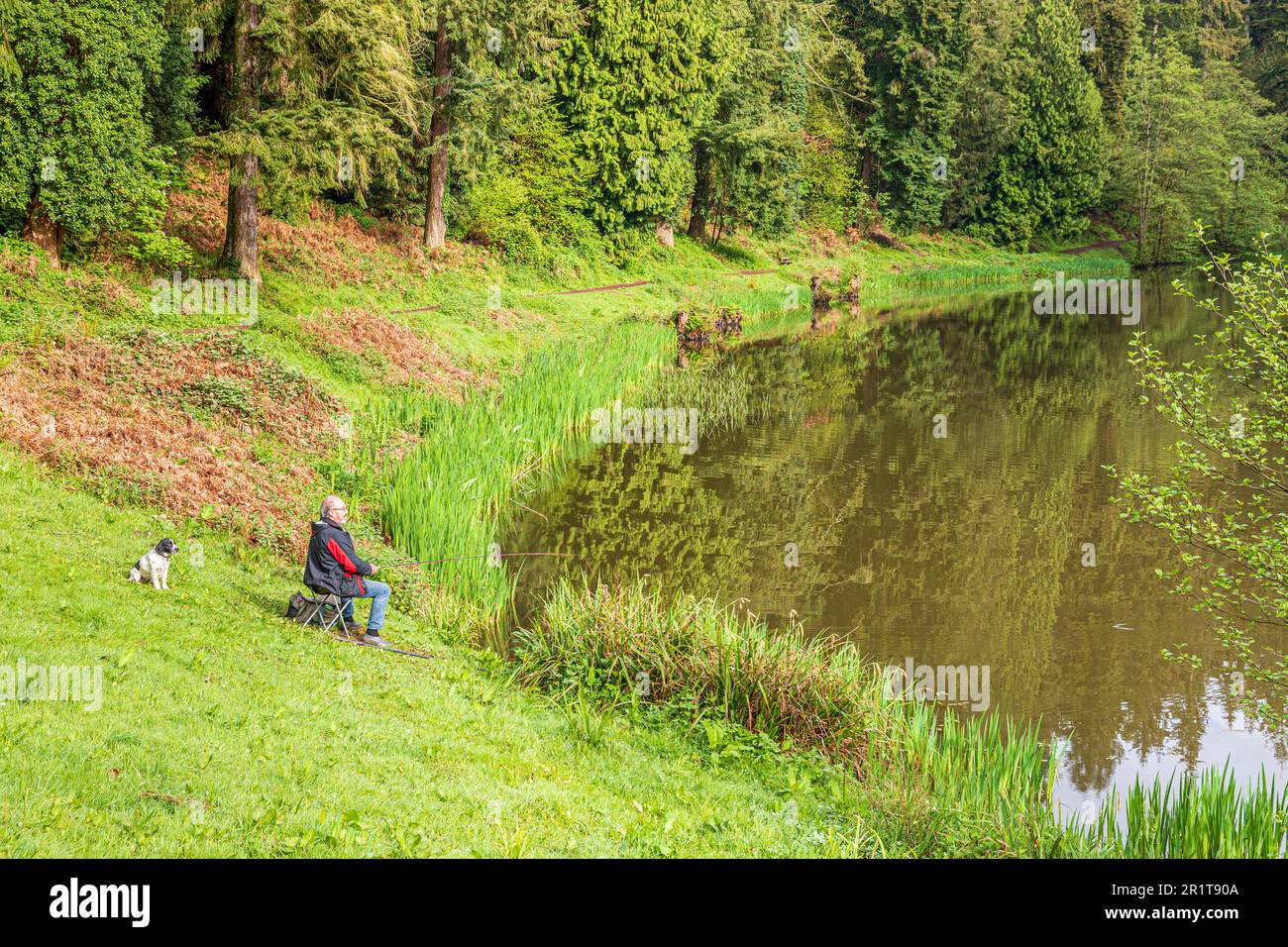 Angler, die in Soudley Ponds in Lower Soudley im Forest of Dean, Gloucestershire, England, angeln Stockfoto