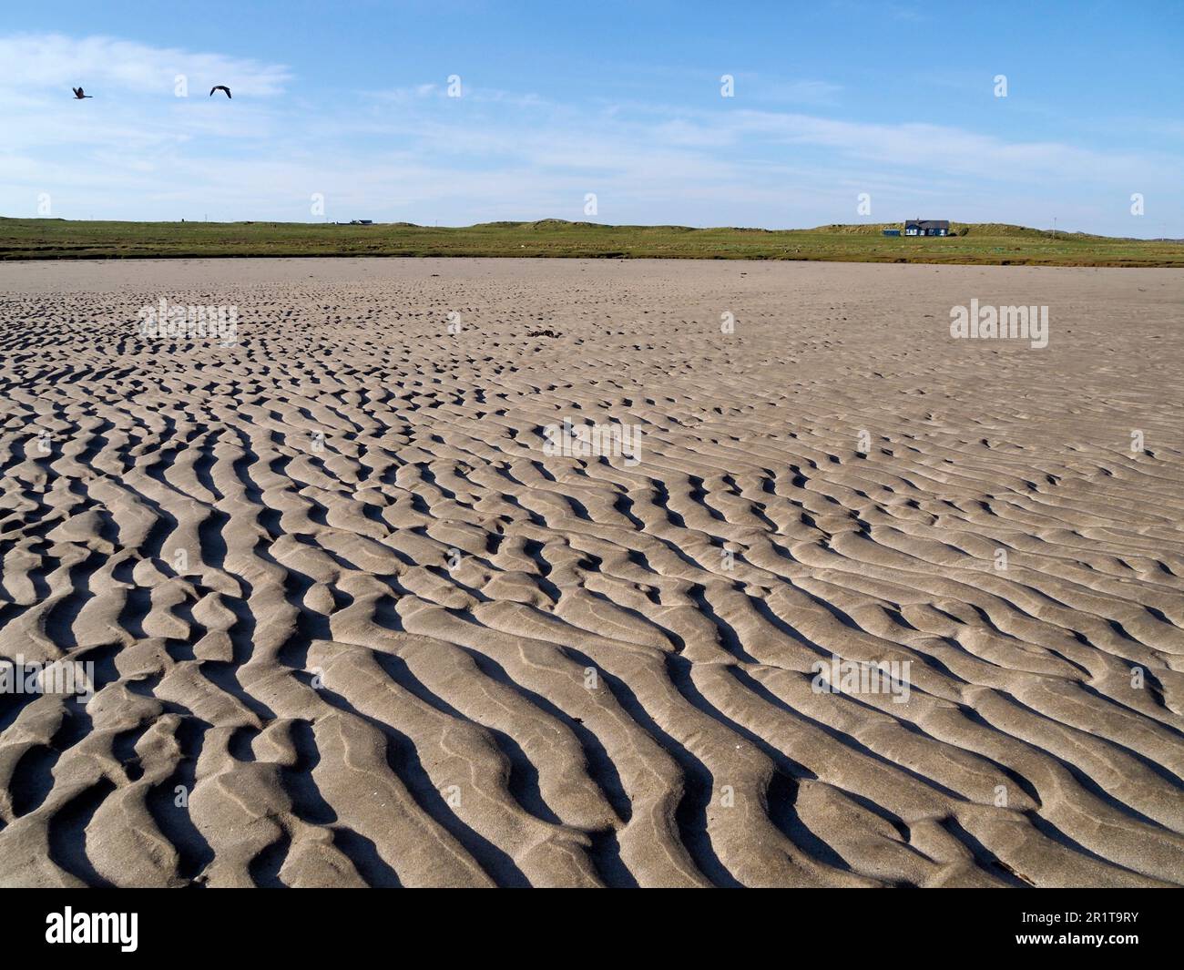 Sandwellen am Strand, Loch Breachacha, Coll, Inner Hebrids, Schottland Stockfoto
