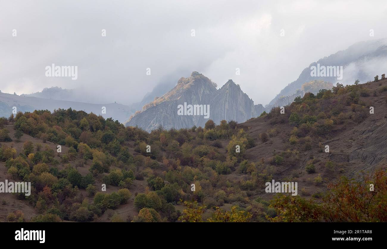 Wald auf dem Weg nach Lahic Stockfoto