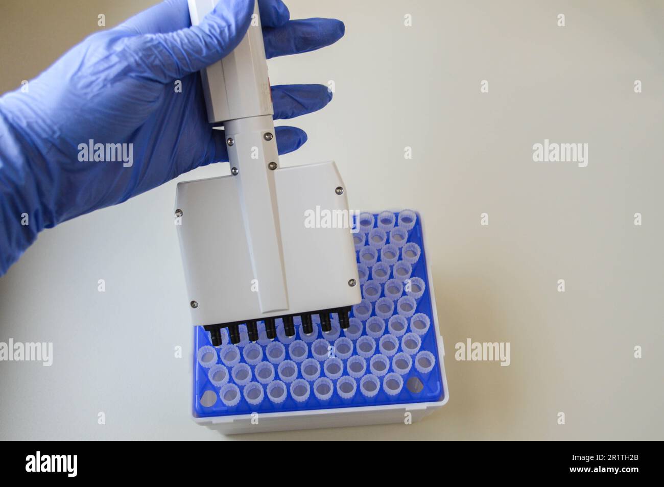 Technikerin im Labor für Genetik - Reprogenetik. Junger Techniker verwendet Dispenser zum Pipettieren von PCR-Streifen. Stockfoto