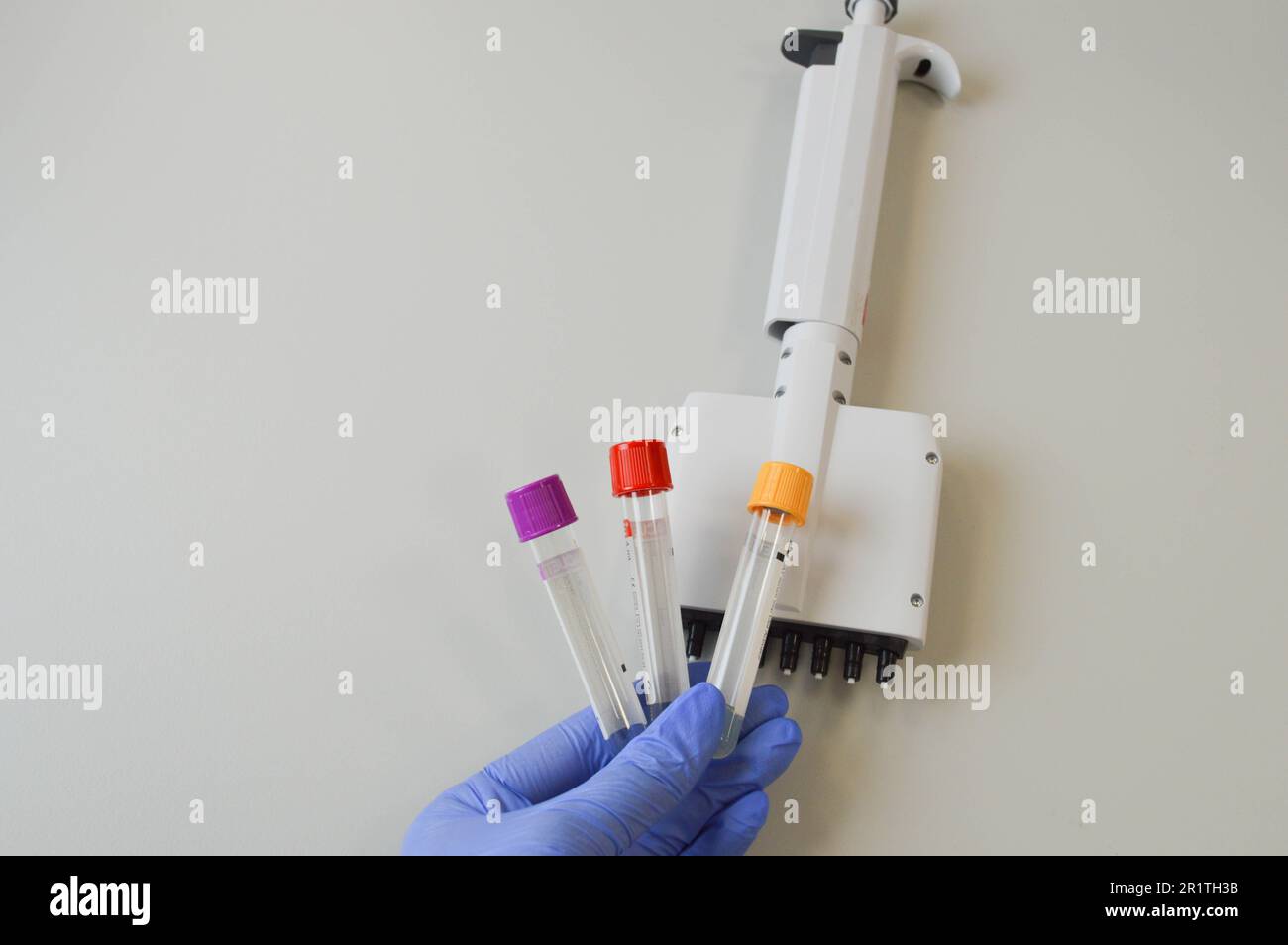 Wissenschaftler oder Arzt, der ein Blut in ein Blutteströhrchen in einem Gestell wirft, Forschungskonzept. Stockfoto