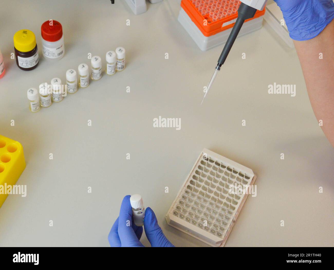 Hand eines Wissenschaftlers, der den Kolben mit Laborglas und Reagenzgläsern im Hintergrund des chemischen Labors, des wissenschaftlichen Labors, der Forschung und der Entwicklung hält Stockfoto