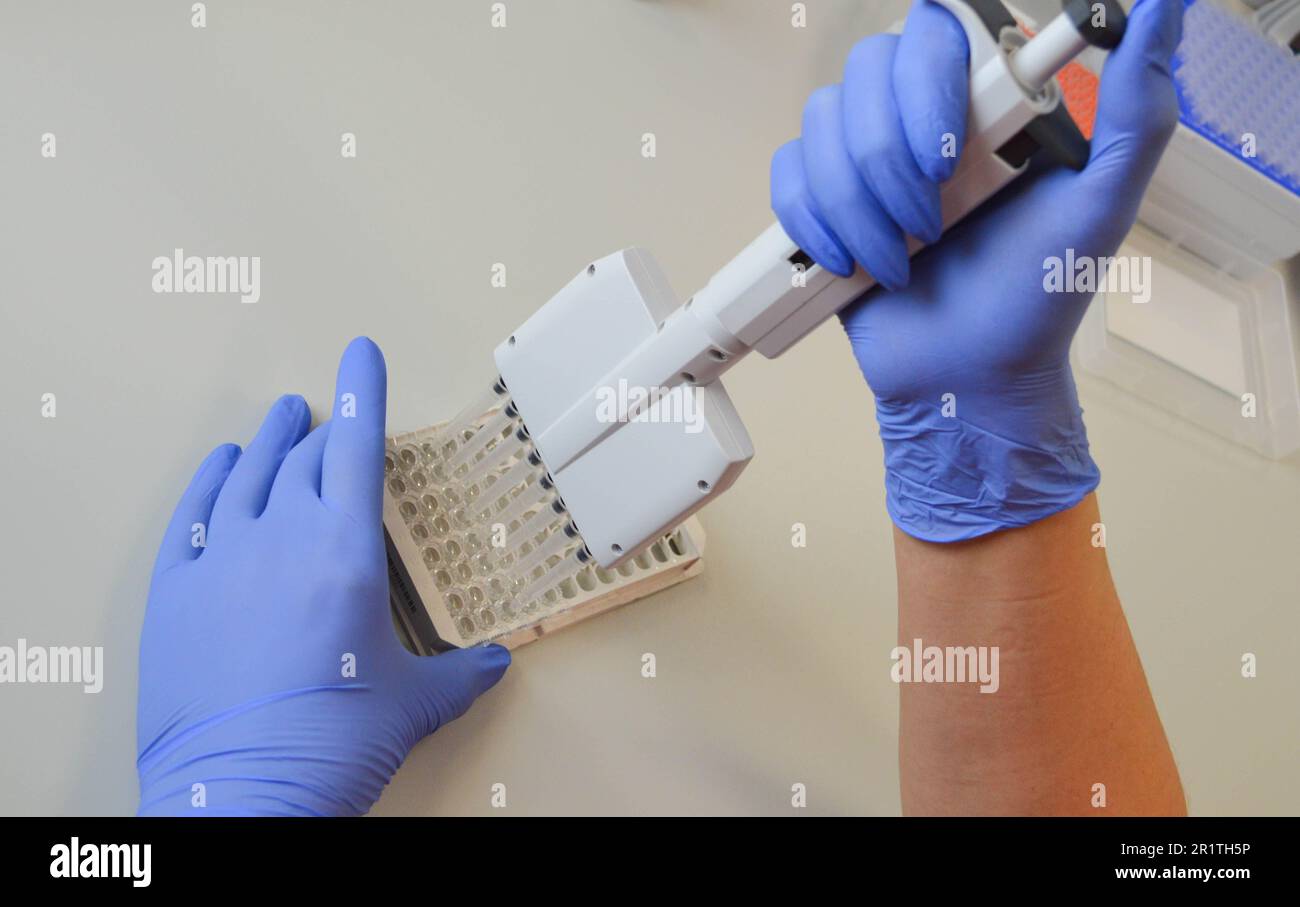 Leitender Pharmazeutischer Wissenschaftler im modernen Labor mit Tropfenspender. Stockfoto
